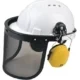 FACE SHIELD